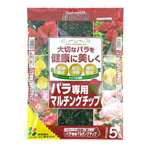 Ԃ op}`O`bv 5L op }`O`bv o[N`bv Ebh`bv