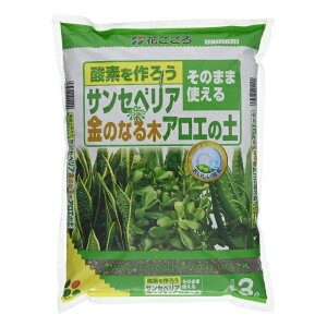 Ԃ TZxAÊȂ؁EAG̓y 3L |{y TZxA ̂Ȃ AG  y py