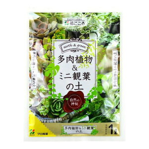 Ԃ A~jϗtA̓y 1L |{y  y A ϗtA | K[fjO