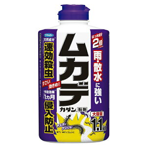 t}L[ JfJ_܁@1.1kg Jf 쏜 E  E \h1 Nh~ e