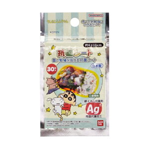 RۃV[g N񂿂 30 { ٓp R V[g o_C