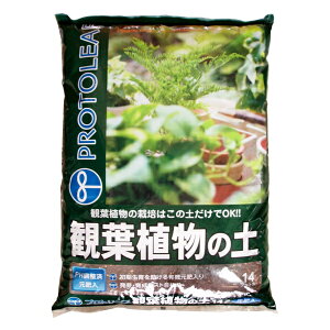 vg[t ϗtA̓y 14L  pH |{y