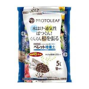 vg[t ybg|{y 5L  |{y }OAvK nC|lbNX