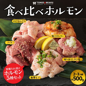 食べ比べホルモン 5種セット 500g 2〜3人前 味付き 秘伝のタレ漬け 牛タン 小腸 ミノ ハツ 軟骨 焼肉 牛肉 バーベキュー BBQ