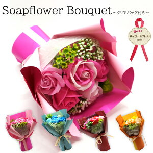 \[vt[ u[P ԑ  Mtg oXtOX NAobO hV̓ Iׂ bZ[WJ[h C a LO j ͂Ȃ v[g  zCgf[