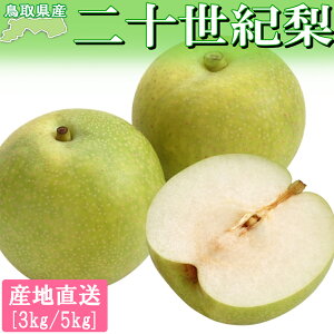   \I 挧Y Yn Ȃ 20I 3L 5L 20I Ȃ iV   A 蕨 Mtg hV̓ v[g ~  ̂