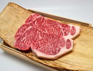 Y㋍ T[CXe[L 250g×2 ˉϔMtg(ꕔn揜) \[XAXpCXt ⋍  Dǌ GI A4 A5 N[① _炩  j j ~ 