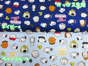 2021N@s[ibc@Xk[s[@IbNXn (w obO |[` Gv Jo[O | nhCh)