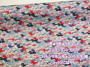 イイLbg@lREL CNWFbgvg ȖLoXn Rbg΂₵ (z ܌obO V_[obO g[gobO nbg s[X w  ob