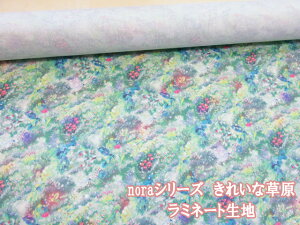 noraV[Y@ꂢȑEԕ@CNWFbgvg@V[`On@~l[g@ (obO |[` NX rj[R[eBO |  nhCh)