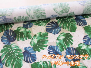 nCA@Xe@t[Eԕ@IbNXn@~l[g@ (obO |[` NX rj[R[eBO |  nhCh)