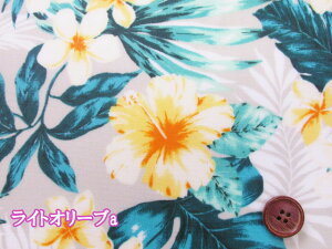 nCA@nCrXJX@vA@t[Eԕ@IbNXn@~l[g@ (obO |[` NX rj[R[eBO |  nhCh)