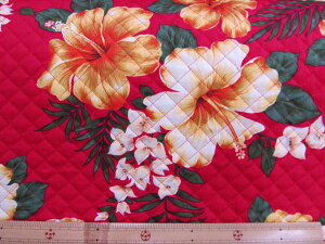 nCA@nCrXJX@y 啿 z@iԒnj@Lgy1m܂Ń[֔\z (w bXobO V[Y zcJo[ |[` CeA Jo[O  