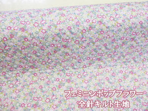 tF~j|bvt[@t[Eԕ@u[hn@SjLgy1m܂Ń[֔\z (w bXobO V[Y zcJo[ |[` CeA Jo[