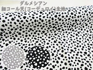 ׃R[V@_VA@R[fCn (`jbN s[X XJ[g Chpc Tybg obO |[` Gv Jo[O CeA |  nhCh)