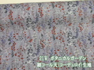 21W@׃R[V@{^jJK[f t[Eԕ (O[) R[V R[fCn HOKKOH (`jbN s[X XJ[g Chpc Tybg obO |[` Gv Jo[