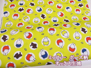 ~btB[@|[Y@IbNXn@(CG[)@(w obO V[Y zcJo[ bXobO ̎q ~btB[ n z |  nhCh)