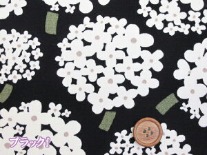 zeVA@AWTCEԕ@10ԃLoXn@Rbg΂₵ (w   ԕ t[ AWTC IV k bXobO  obO |[` Gv Jo[