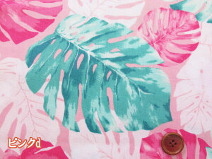 nCA@Xe@t[Eԕ@IbNXn (An nC Vc pc ԕ m CeA NX  obO |[` Gv Jo[O |  nhCh)