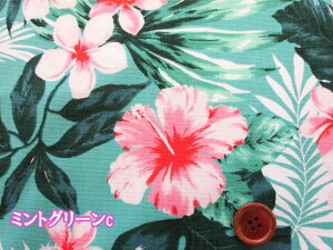 nCA@nCrXJX@vA@t[Eԕ@IbNXn (An nC Vc pc ԕ m CeA NX  obO |[` Gv Jo[O | 