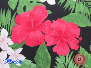 nCA@nCrXJX@ԕ@TCu[hn (ߑ An t_X Vc s[X XJ[g pc Jo |[` Gv Jo[O J[e NX CeA | 