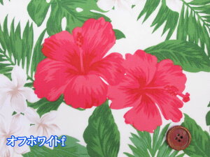 nCA@nCrXJX@ԕ@TCu[hn (ߑ An t_X Vc s[X XJ[g pc Jo |[` Gv Jo[O J[e NX CeA | 