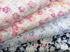 CObVK[f@[Yt[Eԕ@XPAn