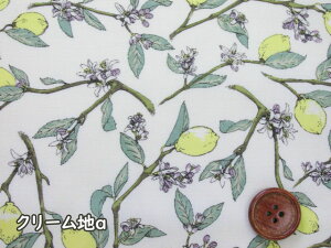 10It!!@t[@ʕE}@u[hn@Rbg΂₵ (z XJ[g Tybg Vc xXg XJ[g `jbN nbg s[X w  obO |[` G