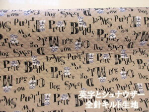 @pƃViEU[@Ep@IbNXn (x[W) @SjLgy1m܂Ń[֔\z (w bXobO V[Y zcJo[ |[` CeA