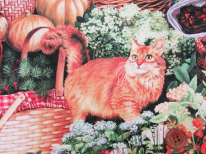 20It!! V[Y@LƂ炵ElRE˂@CNWFbgvg@V[`On (obO@|[`@CeA@Jo[O@ߑ@wi@|@nhCh)