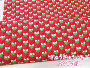 イイ@C`SE䕕@XPAn ( ̎q C`S  LbYVc LbYs XJ[g w  obO |[` Gv Jo[O | nhCh)