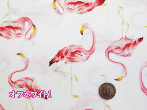 Zux[ t~S@E@u[hn (z XJ[g Tybg Vc xXg XJ[g `jbN nbg s[X w  obO |[` Gv Jo[O 