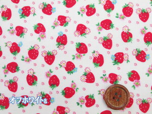 YUWA@L֏X@R֎q@L[gx[@C`SE䕕@V[eBOn ( C`S  m R֎q w LbY xr[ q  obO |[` Gv Jo[