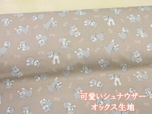 ViEU[ RE IbNXn (x[W) RXeLX^C (  ybg ViEU[ z w z n Gv LbYs LbYXJ[g Tybg 