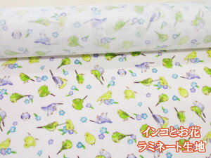 CRƂԁ@CREԕ@V[`On@(ItzCg) ~l[g  RXeLX^C (obO |[` NX rj[R[eBO |  nhCh)