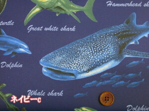 C̐ TENWECJ C IbNXn ~l[g  (obO |[` NX rj[R[eBO ~l[g  t[ z n |  nhCh)