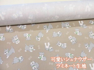 ViEU[ RE IbNXn (x[W) ~l[g@ RXeLX^C (obO |[` NX rj[R[eBO |  nhCh)