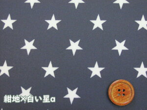 ԁ@X^[E@IbNXn @~l[g@ ( X^[ obO |[` NX rj[R[eBO |  nhCh)