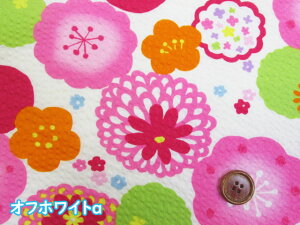 @NVJt[@t[Eԕ@bvn (r  LbY xr[ В |[` V[c Jo[ CeA |  nhCh)