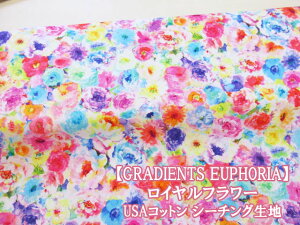 GRADIENTS EUPHORIA moda@Ct[@t[Eԕ@USARbg@V[`On (s[X `jbN XJ[g wAoh VV obN |[` Gv NX Jo[O 