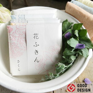 쐭XuiŒWF́vԂӂӂ ᒠ