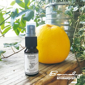 yRefreshzyO[vt[czVRA}Xv[ 250ml ۃXv[/A}//[Xv[//A}ObY/L/bNX/kn/Íp/Rۍp/ItBX/fXN/gC