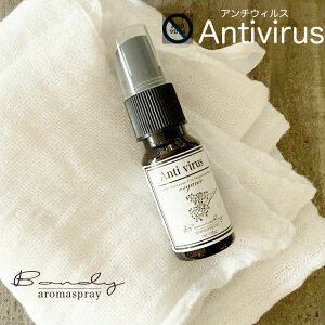 yAntiviruszA`EBX VR100% A}Xv[ 250ml ۃXv[/ב΍/A}//[Xv[/ECX΍/΍/L/bNX/kn/n[un/t[n/