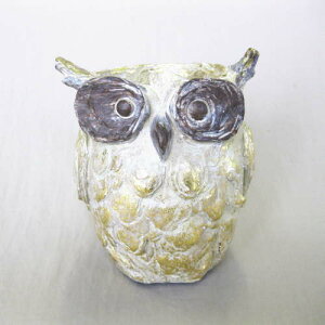 S[hAEx[Xiju  Lhx[X G AeB[N Mtg v[g g