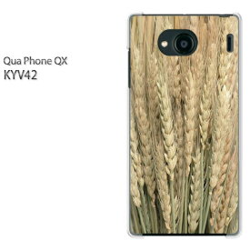 ゆうパケ送料無料 Qua Phone QX KYV42キュアフォン クアフォン quaphoneqx PCケース おしゃれ 人気 カワイイアクセサリー スマホケース カバー ハード ポリカーボネート[秋・シンプル・稲穂(ベージュ)/kyv42-pc-new0375]
