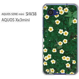 ゆうパケ送料無料 デザイン スマホ ハードケースAQUOS SERIE mini SHV38 AQUOS Xx3 miniスマートフォン おしゃれ 人気 カワイイアクセサリー スマホケース スマホカバー ポリカーボネート [花（グリーン）/shv38-pc-ne280]