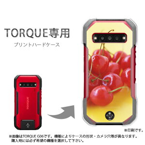 䂤pP TORQUE gNp P[XKYG01 KYG03 g06 g04 P[X Jo[ PCP[X  lC JCCANZT[ X}zP[X Jo[ n[h |J[{l[g[XC[cE(