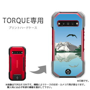 �䂤�p�P�������� TORQUE �g���N��p �P�[�XKYG06 KYG03 g06 g07 �P�[�X �J�o�[ PC�P�[�X ������� �l�C �J���C�C�A�N�Z�T���[ �X�}�z�P�[�X �J�o�[ �n�[�h �|���J�[�{�l�[�g[�V���v���E��(�u���[)/ky