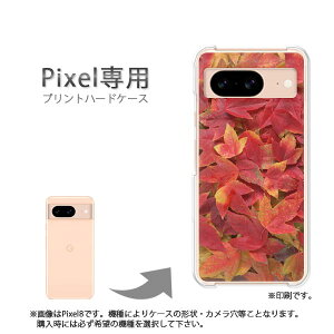 䂤pP google Pixelp P[XPixel9 Pixel9Pro Pixel10proXL P[X Jo[ PCP[X  lC JCCANZT[ X}zP[X Jo[ n[h |J[{l[g [ԁEH(uE)/p