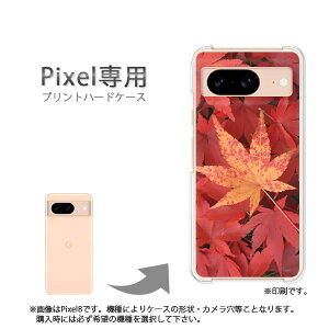 �䂤�p�P�������� google Pixel��p �P�[�XPixel9 Pixel9Pro Pixel10proXL �P�[�X �J�o�[ PC�P�[�X ������� �l�C �J���C�C�A�N�Z�T���[ �X�}�z�P�[�X �J�o�[ �n�[�h �|���J�[�{�l�[�g[�H�E�V���v���E��